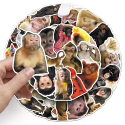 50Pcs Crazy Funny Monkey & Orangutan Meme Stickers Decoration Mobile Phone Waterproof Notebook Skateboard Toy Gift Sticker