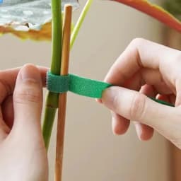 10M Reusable Nylon Plant Ties Green Garden Plant Bandage Cable Ties Self Adhesive Plant Fastener Tape for Plants Garden Home