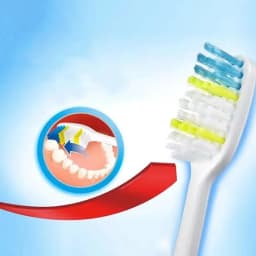 Colgate Toothbrushes Set Random Colors Family Couple Travel Toothbrush for Men Women Daily Oral Care