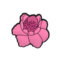1/30-PCS Summer Casual Style Shoe Charm,Coconut Flower Pin for Sandals Decoration,Pizza Cheese Clogs Buckle Shoe Accessories,