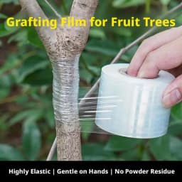 Self-Adhesive Grafting Tape Stretchable Plant Grafting Film for Fruit Tree Nursery Plants Seedlings Vine Floristry