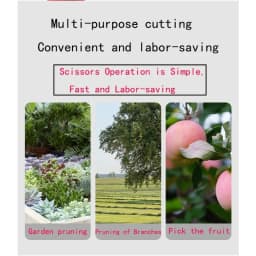 Straight Head Pruning Shears Non-slip HandleStainless Steel Outils Manuels Household Bonsai Garden Scissors Pruing Shear 1Pcs