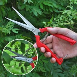 Straight Head Pruning Shears Non-slip HandleStainless Steel Outils Manuels Household Bonsai Garden Scissors Pruing Shear 1Pcs