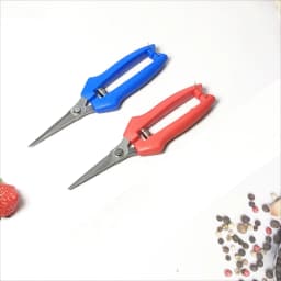 Straight Head Pruning Shears Non-slip HandleStainless Steel Outils Manuels Household Bonsai Garden Scissors Pruing Shear 1Pcs