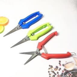 Straight Head Pruning Shears Non-slip HandleStainless Steel Outils Manuels Household Bonsai Garden Scissors Pruing Shear 1Pcs