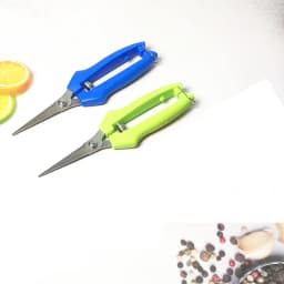 Straight Head Pruning Shears Non-slip HandleStainless Steel Outils Manuels Household Bonsai Garden Scissors Pruing Shear 1Pcs