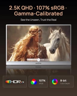 ARZOPA 16.1'' 180Hz 2.5K Portable Monitor, 2560x1440 QHD 107% SRGB, External Second Screen for Laptop, PC, PS5, Mac, Xbox-Z3FC