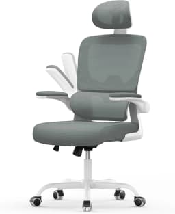 Ergonomic Office Chair with Lumbar Support, Home Office Desk Computer Chairs Adjustable Headrest and Flip-up Armrests