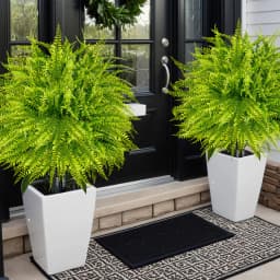 2pcs - 44cm Fern Ground Insert, Realistic Boston Fern, Suitable for Indoor/Outdoor Garden Wedding Spring/Summer Decoration.