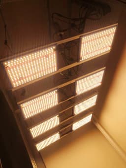On sale Germany warehouse delivery 240W Quantum Board LM301B Full Spectrum Grow Light LED Meanwell Driver