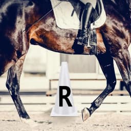 Horse Training Equipment Portable White Dressage Letter Cone Set Horse Training Equipment Stackable Sports Training Cone