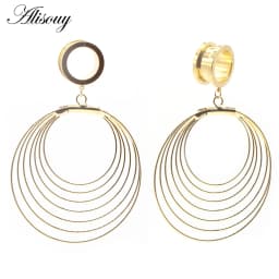 Alisouy 2pcs 6-25MM Stainless Steel Ear Plugs and Tunnels Dangle Ear Piercing Expansion Ear Stretched Flesh Tunnels Body Jewelry