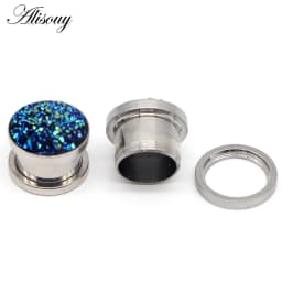 1pc 316L Stainless Steel Ear Plugs and Tunnels Ear Piercings Earlets Screwed Earring Expander Ear Gauges Body Jewelry Piercings