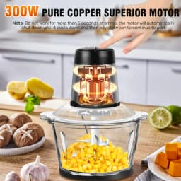 300W Electric Meat Grinder Mincer with 2 L Glass Container, 2 Speed, 4 Durable Blades, Easy to Use and Clean