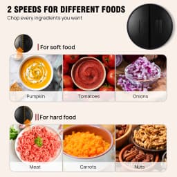 300W Electric Meat Grinder Mincer with 2 L Glass Container, 2 Speed, 4 Durable Blades, Easy to Use and Clean