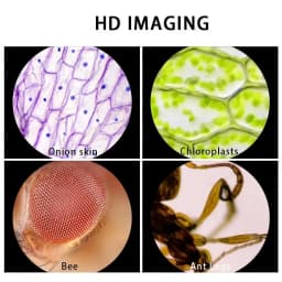 Portable Handheld Microscope 60X to 100X Magnification for Scientific Observation Perfect for Experiments and Field Research