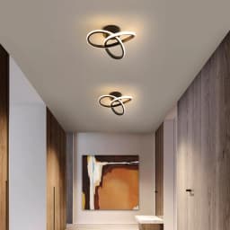 Modern LED Ceiling Light,LED Ceiling Light,20W for Bedroom,Kitchen,Living Room,Diameter 25 cm, Dimmable 3000K/4500K/6500K