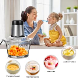 2L Electric Food Chopper Vegetable Chopper Small Food Processor Meat Grinder Mixer Electric Dicer with 2 Speeds Meat Mincer