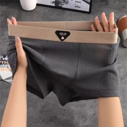 4pcs Men's Boxer Shorts Ice Silk Underwear Plus Size Underpants Cool Breathable Sexy Slim Panties Mesh Lingerie Wholesale Lots