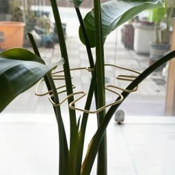 1Pc Large Hanging Plant Stand, Iron Hooks, Suitable for Flowerpot Decoration, Indoor and Outdoor Use