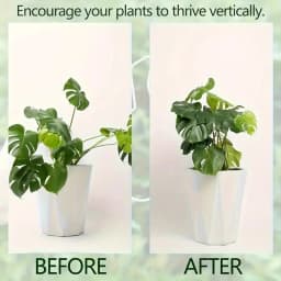 1Pc Large Hanging Plant Stand, Iron Hooks, Suitable for Flowerpot Decoration, Indoor and Outdoor Use