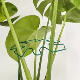 1Pc Large Hanging Plant Stand, Iron Hooks, Suitable for Flowerpot Decoration, Indoor and Outdoor Use