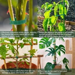 50/100pcs Reusable Adjustable Non-Slip Nylon Plant Ties with Hook and Loop Fasteners, Ideal for Gardening Applications