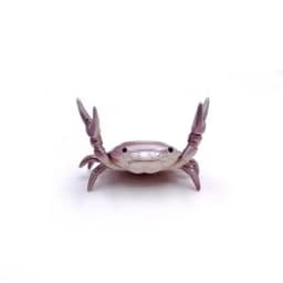 Funny Crab Desktop Pen Holder as creative stationery
