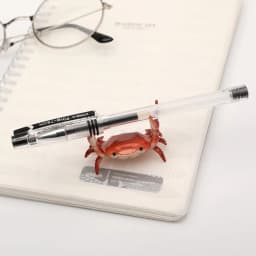 Funny Crab Desktop Pen Holder as creative stationery