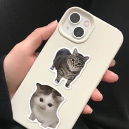 50/100PCS Creative Network Popular Cat Meme Collection Hand Account DIY Graffiti Stickers Water Cup Skateboard Stickers