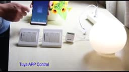Mini DIY Smart Switch Work With Tuya WiFi Light Switch Module Need Neutral Wire 2 Ways Timer Wireless Breaker Alexa Google Home