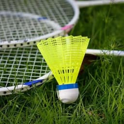 Goose Feather Badminton Shuttlecocks, 12 Pack Nylon Feather Badminton Birdies-Hight Speed Training Birdie Ball for Indoor and O