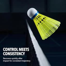 Goose Feather Badminton Shuttlecocks, 12 Pack Nylon Feather Badminton Birdies-Hight Speed Training Birdie Ball for Indoor and O