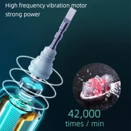 Electric Toothbrush Rotary Cleaning Teeth Brush Waterproof Electronic Tooth Brush With Timer USB Rechargeable Toothbrush 10 Head