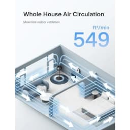 7-Inch Pedestal Air Circulator, Oscillation Fan, 3 Speeds, Adjustable Height Tabletop/Standing Fan,75°+90° Oscillation, 5-Blade