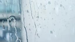 Shinco 30 Pints Dehumidifier for Home and Basements, 1500 Sq.Ft Dehumidifiers with Drain Hose, Auto or Manual Drainage
