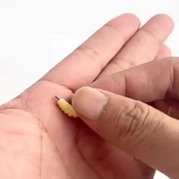 Rubber Maggots Fishing Bait Set with Hooks - Versatile Grub Lures for Bass,Trout,Crappie,Bluegill,Ideal for Freshwater Fishing