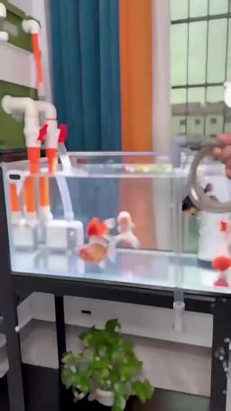Fish Tank Siphon Vacuum Gravel Large Water Exchanger Aquarium Sand Cleaning and Water Changing Cleaning Kit with Extension Tube