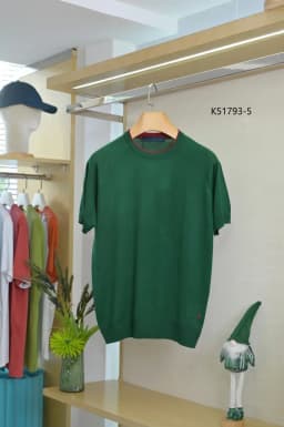OECHSLI T-Shirt Silk men 2025 New Casual comfortable elastic short sleeve thin round neck Straight big size M-4XL