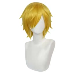 Nico Robin Sanji Cosplay Wig Anime Roronoa Cos Zoro Boa·Hancock Heat Resistant Synthetic Hair Carnival Halloween Party Wigs