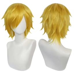 Nico Robin Sanji Cosplay Wig Anime Roronoa Cos Zoro Boa·Hancock Heat Resistant Synthetic Hair Carnival Halloween Party Wigs