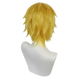 Nico Robin Sanji Cosplay Wig Anime Roronoa Cos Zoro Boa·Hancock Heat Resistant Synthetic Hair Carnival Halloween Party Wigs