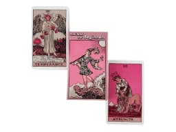 Pink Rider Tarot Cards for Beginners A 78 Deck Oracle English Visions Divination Edition Borad Playing Games