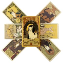 Cats Rule The Earth Tarot Cards A 78 Deck Oracle English Visions Divination Edition Borad Playing Games