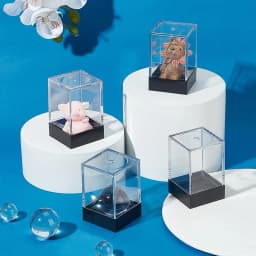 10 pcs per set Empty Plastic Box For Put In Dice