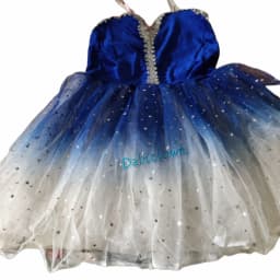 Child Long Ballet Dress Performance Clothing Girls Women Ballet Tutu Skirt Gymnastic Leotard Professional Belly Dance Costume