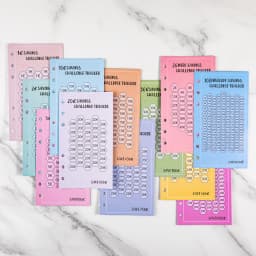 48Sheets Envelopes Eave Money, 52 Weeks Save Challenge, 30 Days Save, Euros USD Cash Envelopes Budget Planner Easy To Save