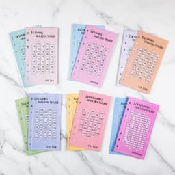 48Sheets Envelopes Eave Money, 52 Weeks Save Challenge, 30 Days Save, Euros USD Cash Envelopes Budget Planner Easy To Save