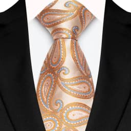 Luxury 8CM Mens Necktie Paisley Floral Ties For Man Jacquard Woven Business Party Accessories Neck Tie For Man