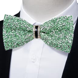 Shinny Rhinestone Diamond Bow Tie Pre-tied Bowknot for Wedding Prom Tuxedo Suits Black Red Green Butterfly Gift for Men